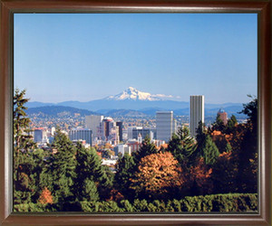 Framed Wall Decoration Portland Rose Garden and Mt. Hood Nature Mahogany Framed Picture Art Print Poster (20x24) Framed Wall Decoration Portland Rose Garden and Mt. Hood Nature Mahogany Framed Picture Art Print Poster (20x24)