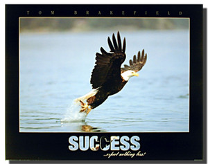 Bald Eagle Carrying Fish Posters Bald Eagle Carrying Fish Posters