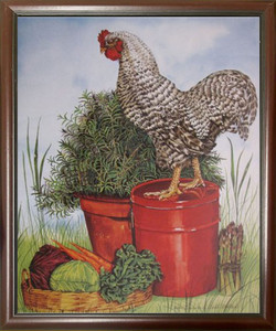 Impact Posters Gallery Chicken Framed Wall Decoration Barred Plymouth Rock Rooster Picture Mahogany Art Print Poster Impact Posters Gallery Chicken Framed Wall Decoration Barred Plymouth Rock Rooster Picture Mahogany Art Print Poster
