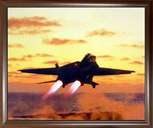 M F Winter F-14D Tomcat Jet Aviation Framed Wall Decor - US Navy Wall Decor Mahogany Black Art Print Poster Picture (20x24)
