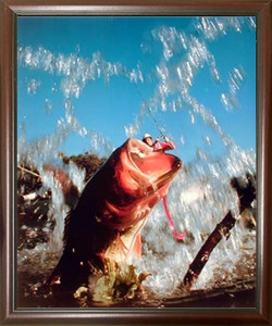 Framed Wall Decor Fish Hooked Lure Bass Fishing Oak Ocean Mahogany Art Print Picture Framed Wall Decor Fish Hooked Lure Bass Fishing Oak Ocean Mahogany Art Print Picture