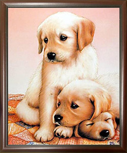 Impact Posters Gallery Cute Three Puppies Sleeping Dogs Kids Room Mahogany Black Framed Wall Decoration Picture Art Print Poster Impact Posters Gallery Cute Three Puppies Sleeping Dogs Kids Room Mahogany Black Framed Wall Decoration Picture Art Print Poster