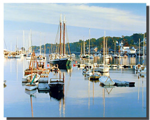 Camden Harbor Posters Camden Harbor Posters