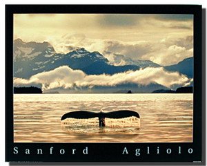 Whale Tail Poster- Sanford Agliolo Whale Tail Poster- Sanford Agliolo