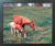 Horse Mare and Colt Wildlife Animal Wall Decor Espresso Framed Picture Art Print (20x24)