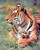 Bengal Tiger and Cub Wildlife Animal Wall Decor Art Print Poster (16x20)
