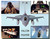 F-16 Fighting Falcon Collage Poster
