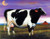 Moon Over Holstein Country Cow Farm Animal Wall Decor Art Print Poster (16x20)
