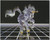 White Unicorn Up from The Grid Fantasy Horse Wall Decor Picture (8x10)