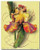 Colorful Flower Floral Fine Wall Decor Art Print Poster (8x10)