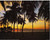 Tropical Beach Sunset Palm Tree Nature Scenery Wall Decor Art Print Picture (16x20)