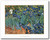  Picture Wall Art Vincent Van Gogh Irises Flower Garden Painting Fine Decor Print Poster (22x28)