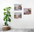 Wall Decor - Country Cottage Lake Scenery Nature Picture 16x20 Three Set Flower Garden Art Print Poster