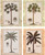  Vintage Tropical Palm Tree Picture Landscape Contemporary 16x20 Four Set Wall Decor Art Print Poster