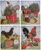  Rooster Chicken Farm Animal Four 8x10 Set Picture Kitchen Wall Decor Art Print Posters
