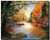 Creek Scenery Poster