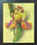 Tulip Flower Wall Decor Colorful Floral Painting Espresso Framed Art Print Poster (18x22)