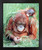 Framed Wall Decoration Orangutan and Baby Wildlife Animal Nature Black Framed Art Print Picture (18x22)