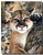Mountain Lion Poster