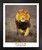 Running Lion Focus On The Task at Hand Wildlife Inspirational Black Framed Wall Decoration Animal Art Print Picture (18x22)