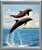 Impact Posters Gallery Bottlenose Dolphins Jumping Into The Ocean Sea Animal Silver Framed Art Print Framed Wall Decoration Picture (20x24)