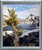 Impact Posters Gallery Scenery Landscape Framed Wall Living Room Decor Lone Tree at Crater Lake National Park Silver Picture Art Print