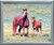 Arabian Horse Mare and Foal Animal Wall Decor Silver Picture Framed Art Print