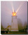 Lighthouse in Oregon Posters