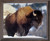American Wildlife Animal Framed Wall Bedroom Decor Bison I Barnwood Picture Art Print Posters (19x23)