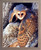 Framed Wall Decor Barn Owl Bird Wildlife Barnwood Picture Art Print (19x23)