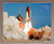 Impact Posters Gallery NASA Space Shuttle Blasting Off Wall Barnwood Framed Picture Art Print (19x23)