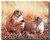 Prairie Dogs Poster