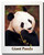 Giant Panda Poster