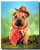 Shar pei Cowboy Poster