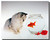 Cat and Goldfish Poster