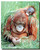 Orangutan and Young Poster