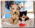 Dalmation Pup and Kitten Poster