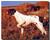 Pointer Dog Poster