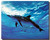 bottlenose dolphin posters