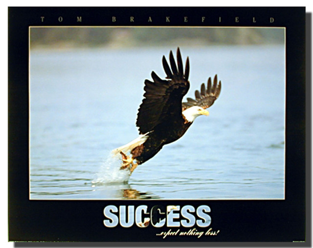 Bald Eagle Carrying Fish Poster | Animal Posters | Bird Posters