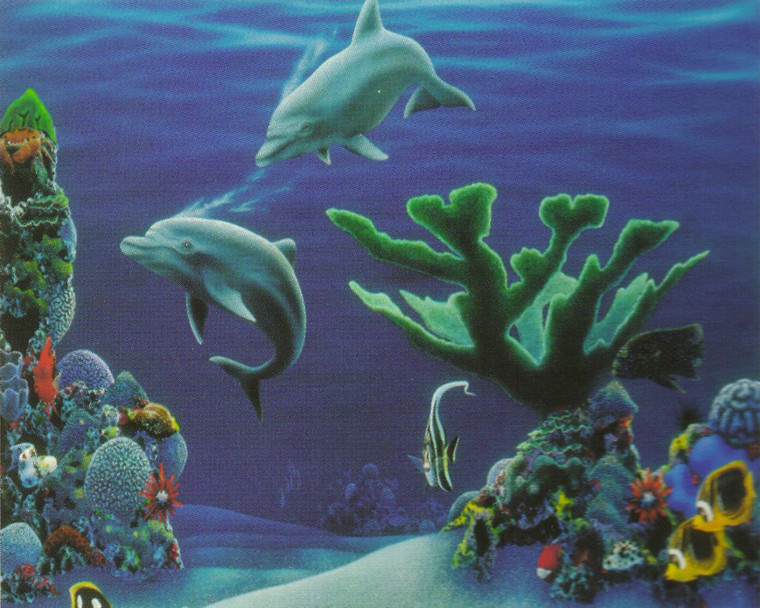 Tropical Fish & Dolphins Coral Reef Underwater Ocean Animal Wall Decor Art Print Poster (16x20)