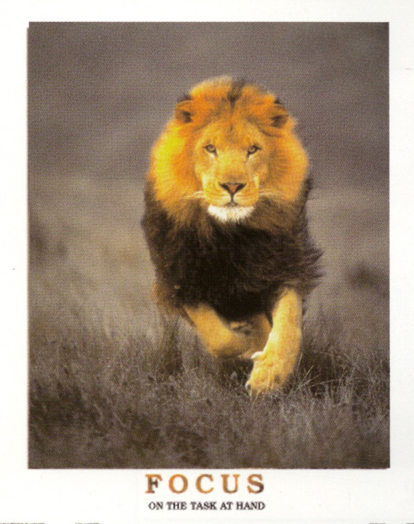 Running Lion Focus On The Task At Hand Wildlife Inspirational Animal Art Print Poster (16x20)