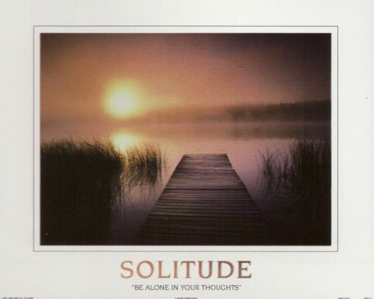 The Solitude of the Sea Sunset Inspirational Nature Wall Decor Art Print Poster (16x20)