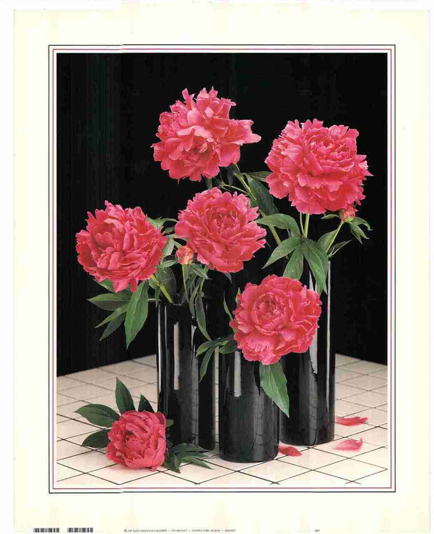 Flower in Vase Pink Floral Fine Art Home Decor Wall Print Poster (16x20)