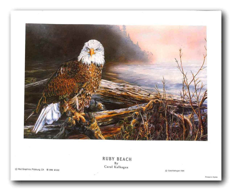 Ruby Beach Bald Eagle Bird Wall Decor Art Print Poster (11x14)