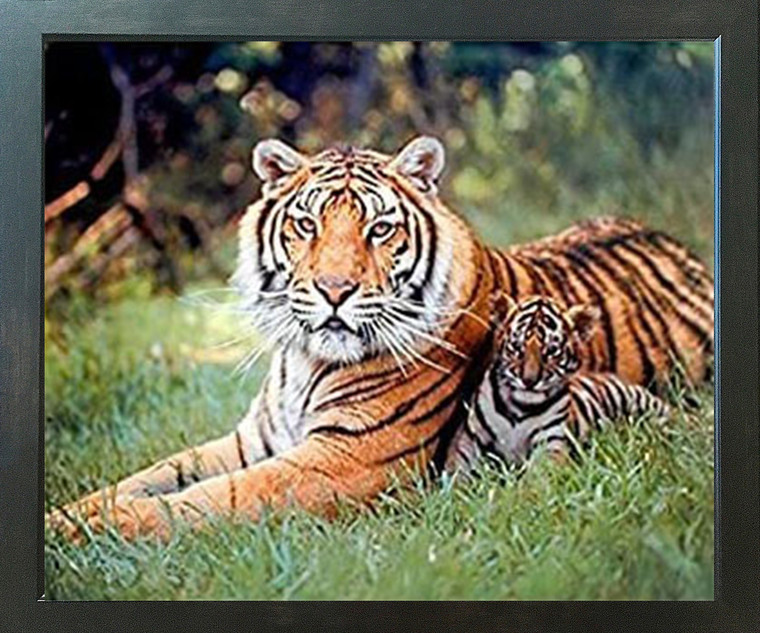 Tiger and Cubs Wildlife Animal Nature Wall Decor Espresso Framed Picture Art Print (20x24)