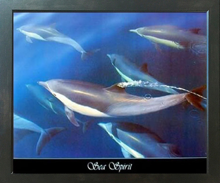 Dolphin Sea Spirit Underwater Animal Home Decor Wall Espresso Framed Picture Art Print (20x24)