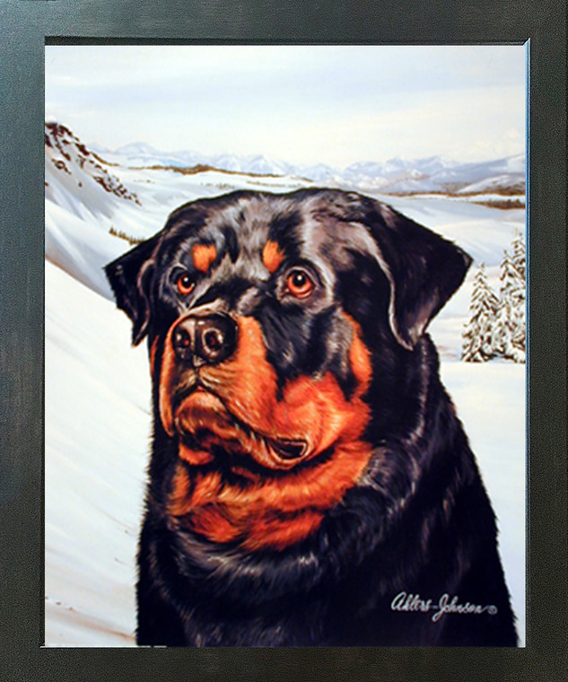 Rottweiler Dog Pet Wildlife Animal Wall Decor Espresso Framed Picture Art Print (20x24)