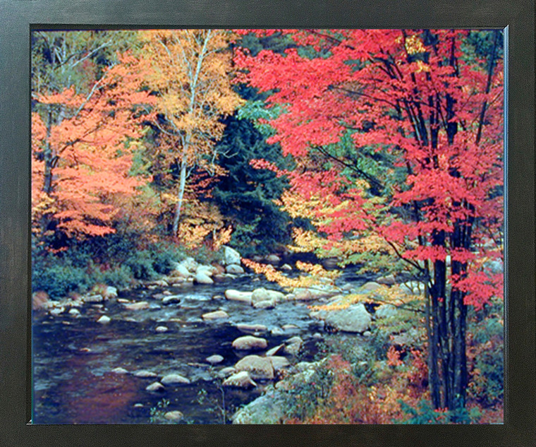 Red Trees in Forest with Stream Scenery Wall Decor Espresso Framed Picture Art Print (20x24)