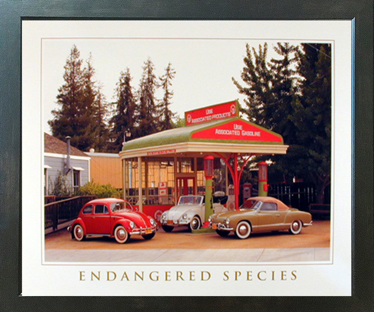 Endangered Species Volkswagen-VW Classics Wall Espresso Framed Picture Art Print (20x24)